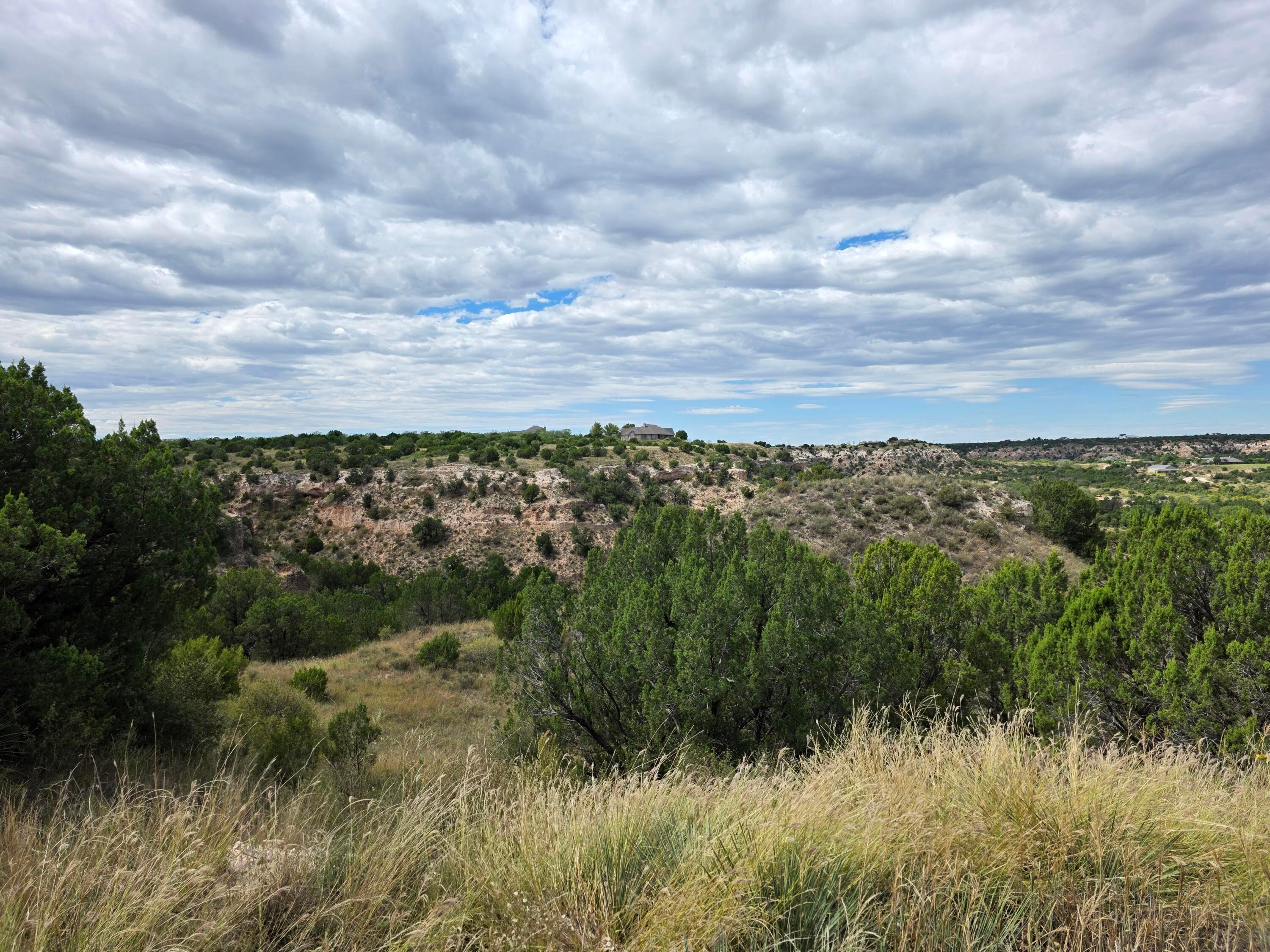 17500 Johns Way Boulevard Canyon, TX 79015 - Photo 9 of 10 a view of a lot of trees
