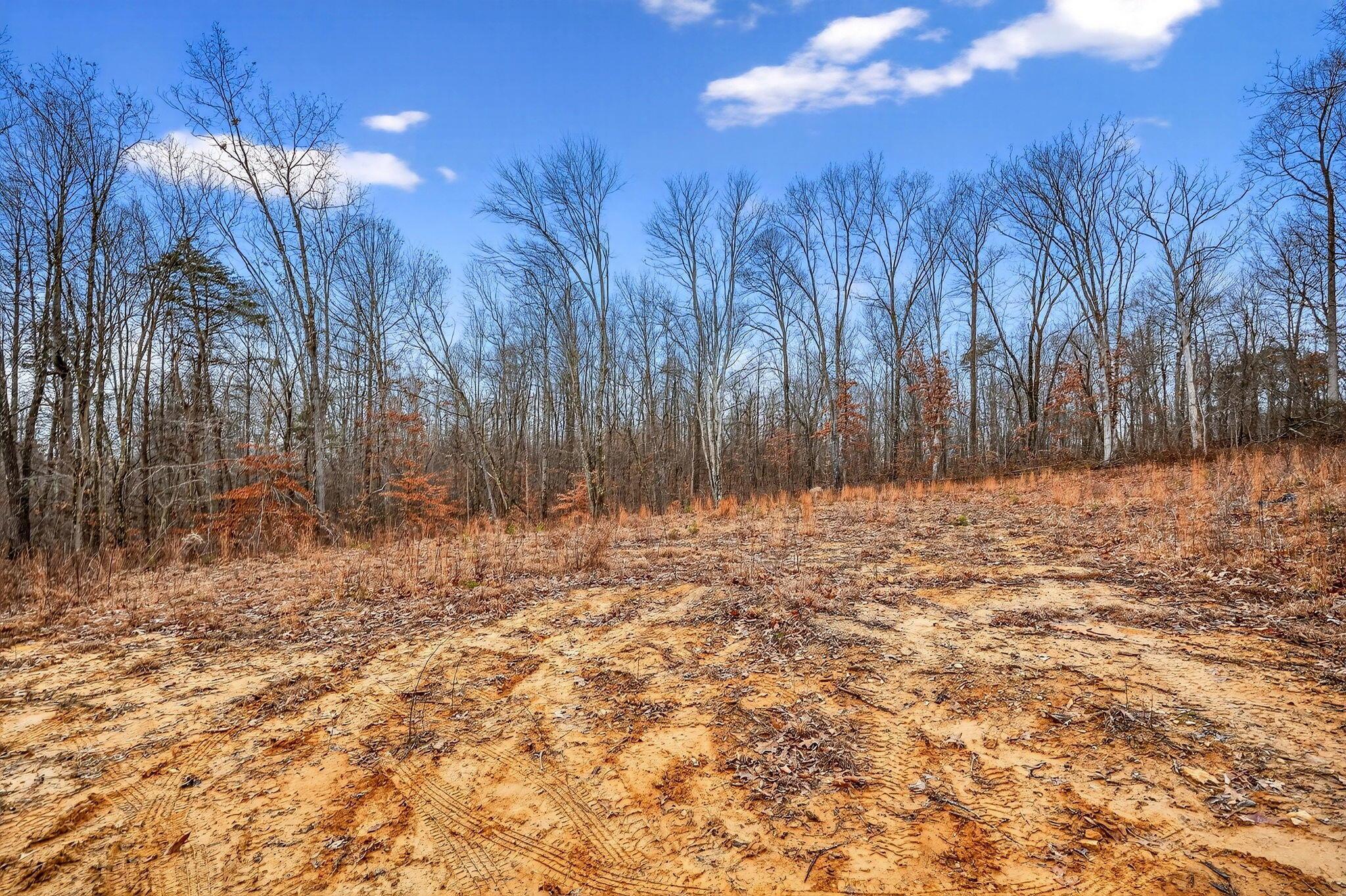 3133 4 Mile Road Jackson, OH 45640 - Photo 10 of 40 9. 3133 Four Mile Rd 35