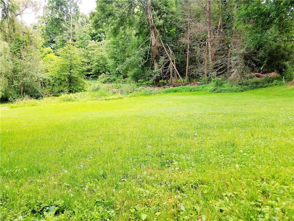 5424 Hardt Road Gibsonia, PA 15044 - Photo 3 of 24 Property line goes into the woods in the back.