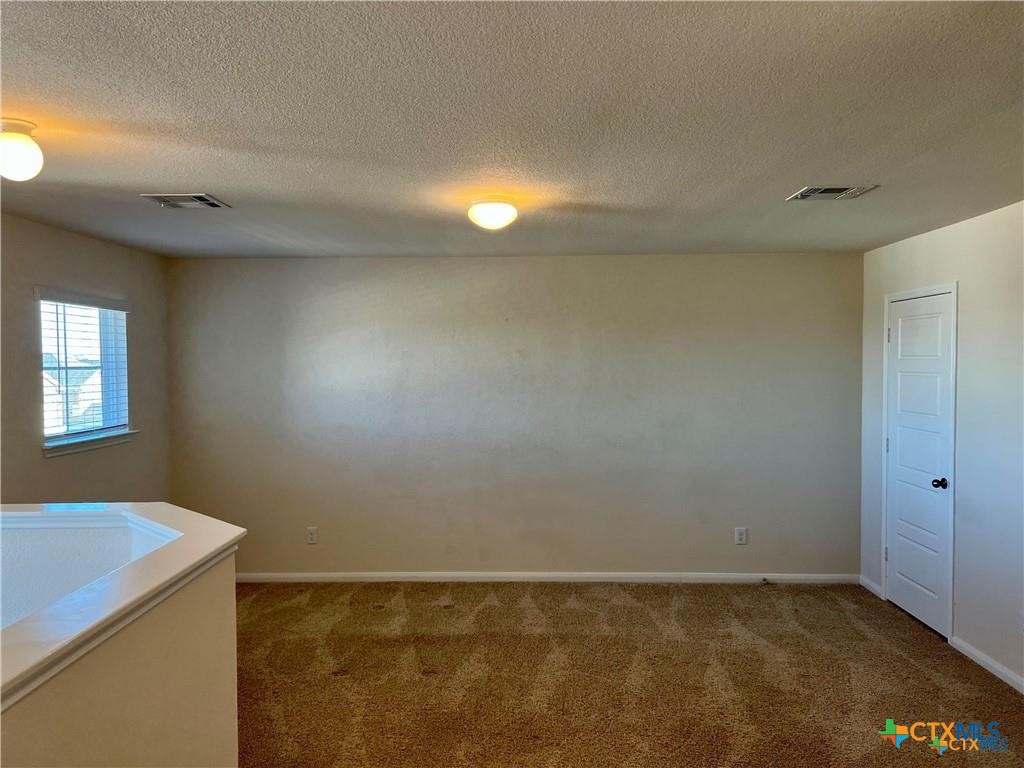 533 Summersweet Road New Braunfels, TX 78130 - Photo 15 of 20