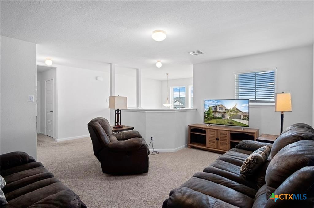 533 Summersweet Road New Braunfels, TX 78130 - Photo 16 of 20