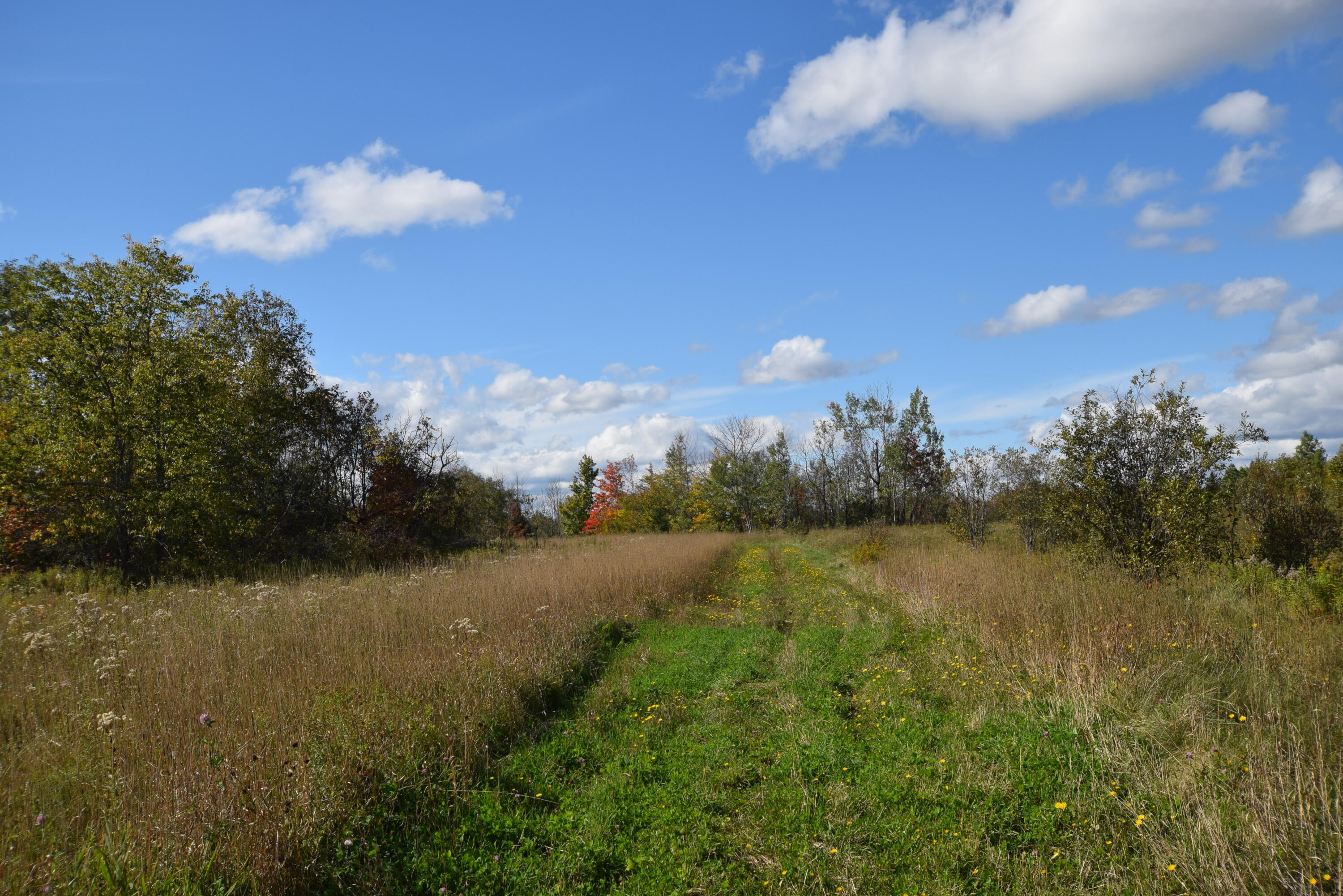 Lot 5 Barleyville Road Patten, ME 04765 - Photo 17 of 45 Fields & Forest...