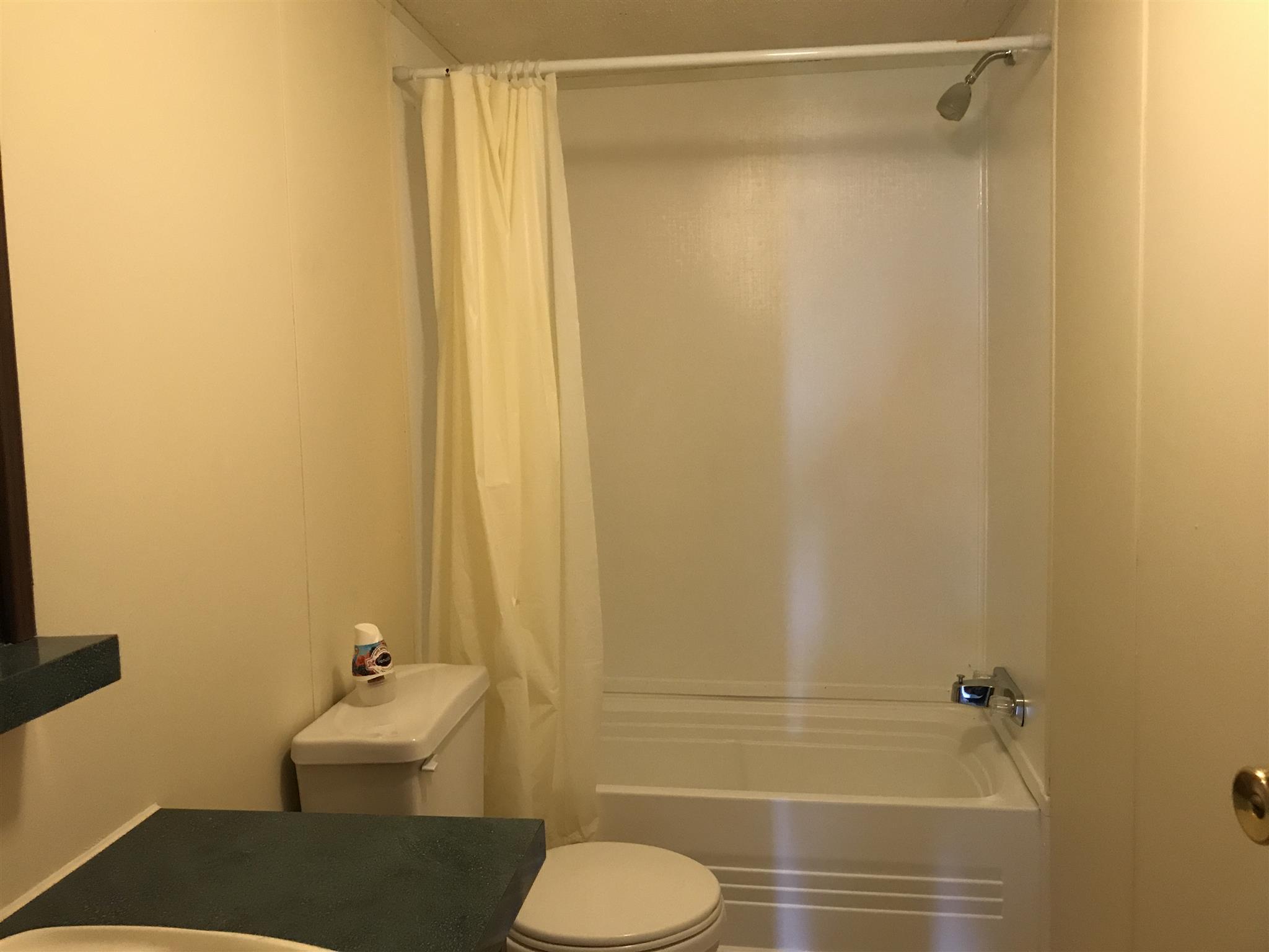 6029 McDaniels Road Springfield, TN 37172 - Photo 11 of 14 a bathroom with a shower curtain and a toilet