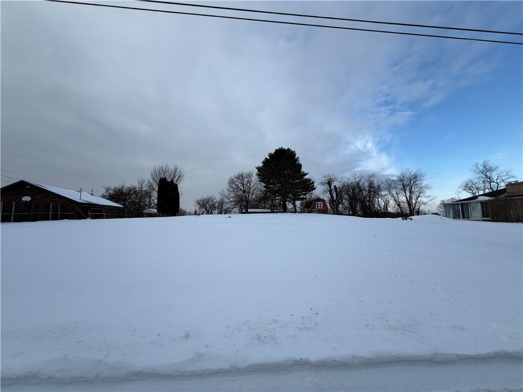 a view of a dry yard