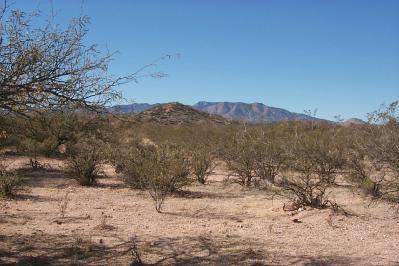 0 South Flynn Road St. David, AZ 85630 - Photo 1 of 1 Gallery Image 1