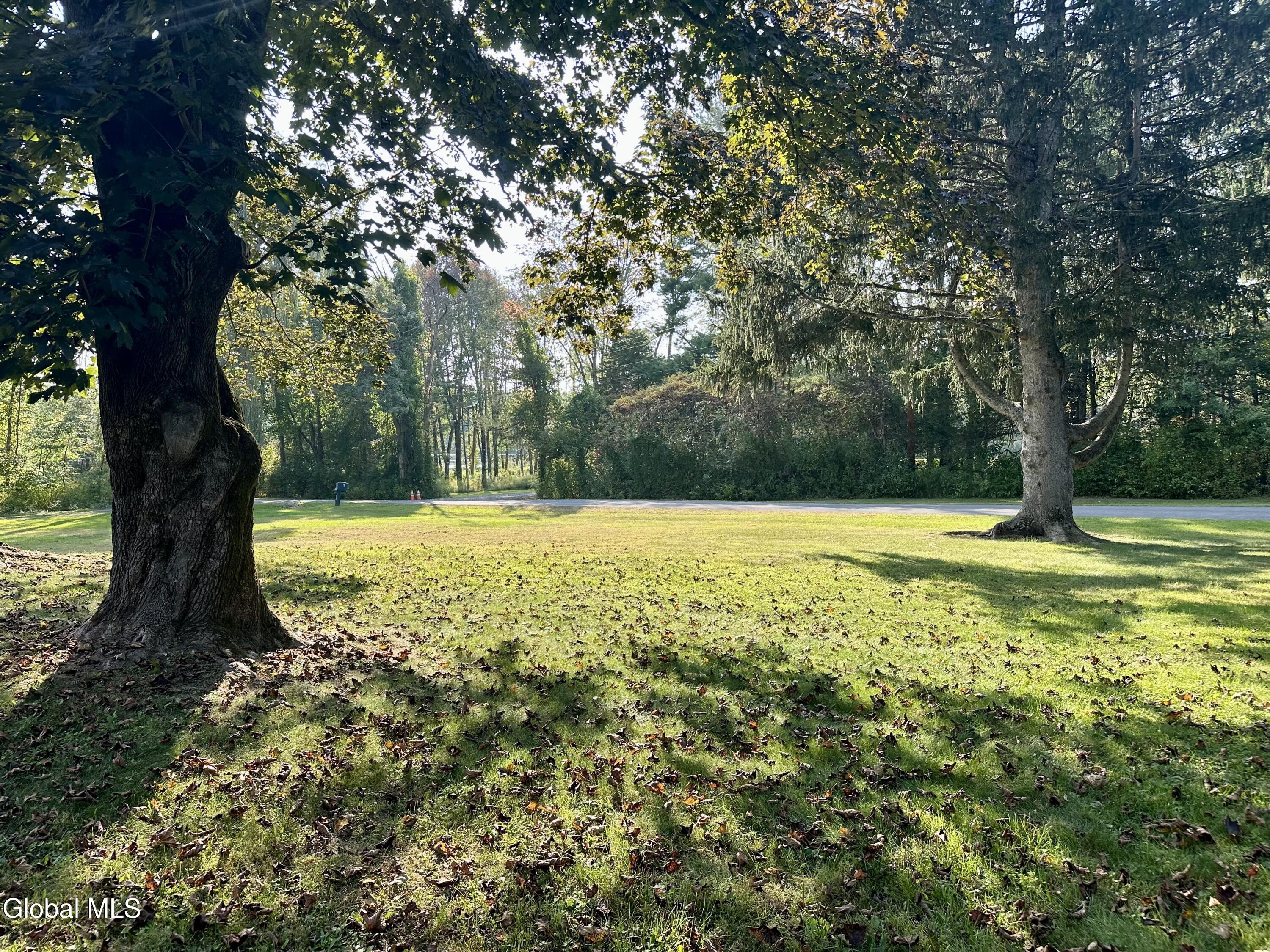 116 Tipple Road Ghent, NY 12534 - Photo 30 of 32 Front yard
