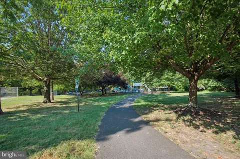 a view of a park with large trees