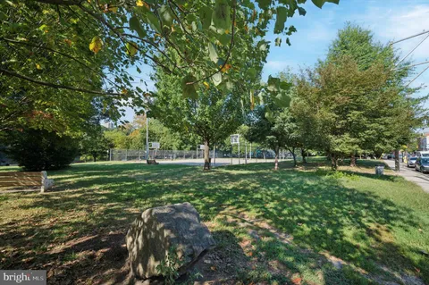 a view of a park with large trees