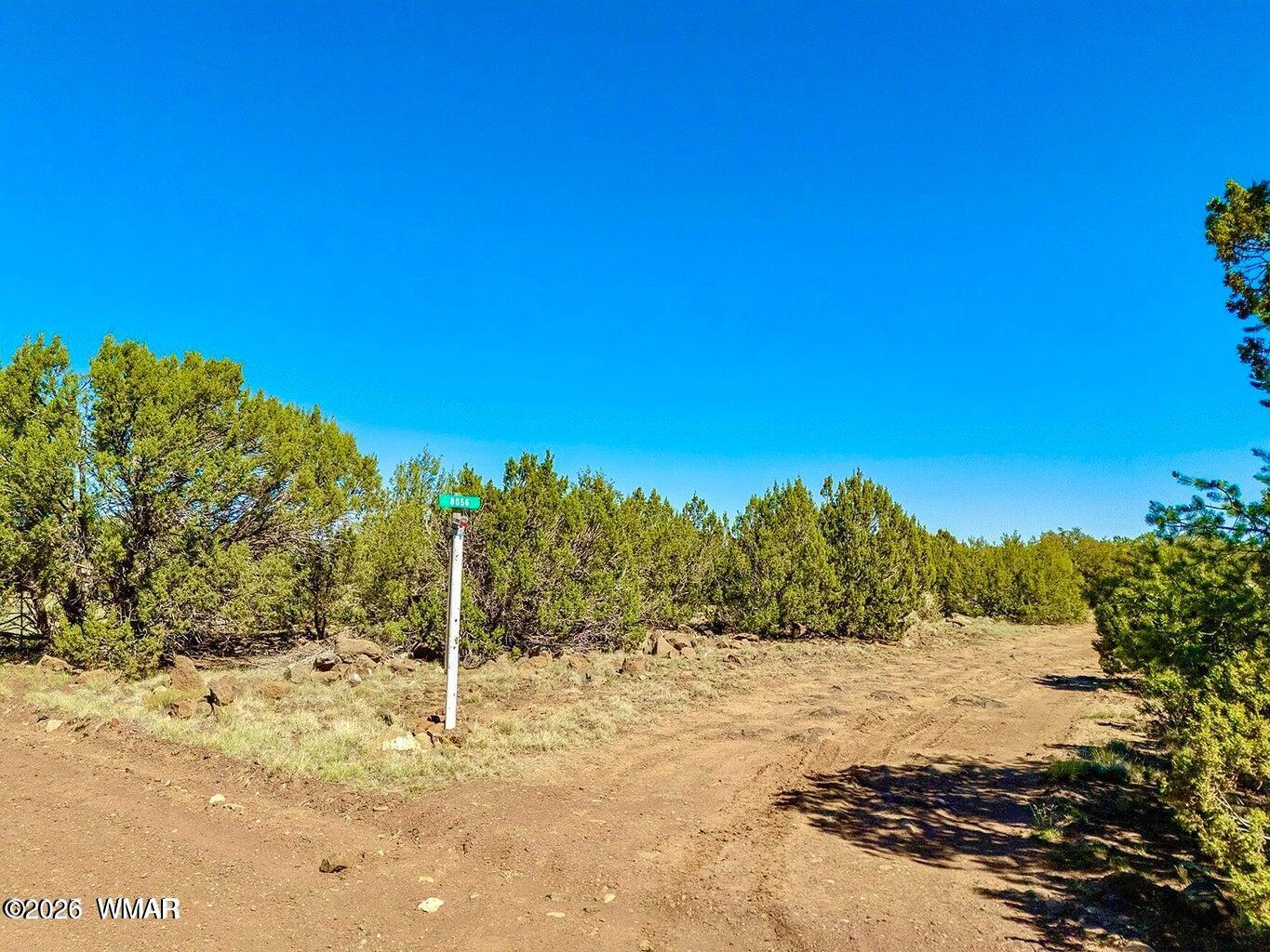 128 Co Road Concho, AZ 85924 - Photo 4 of 9 20251025090120196112000000-o