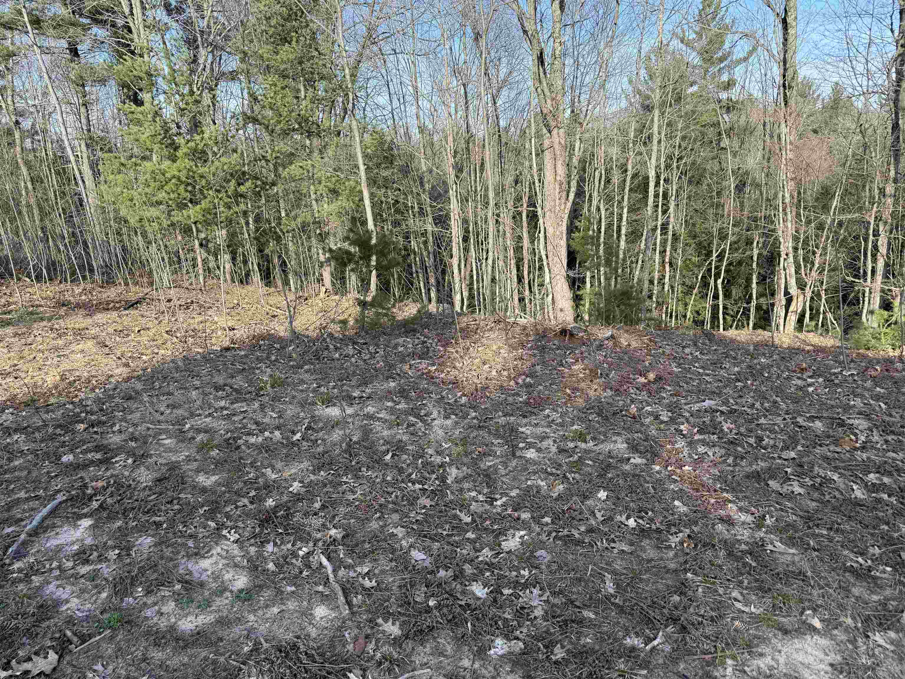 Parcel D North Carmean Road Interlochen, MI 49643 - Photo 10 of 12
