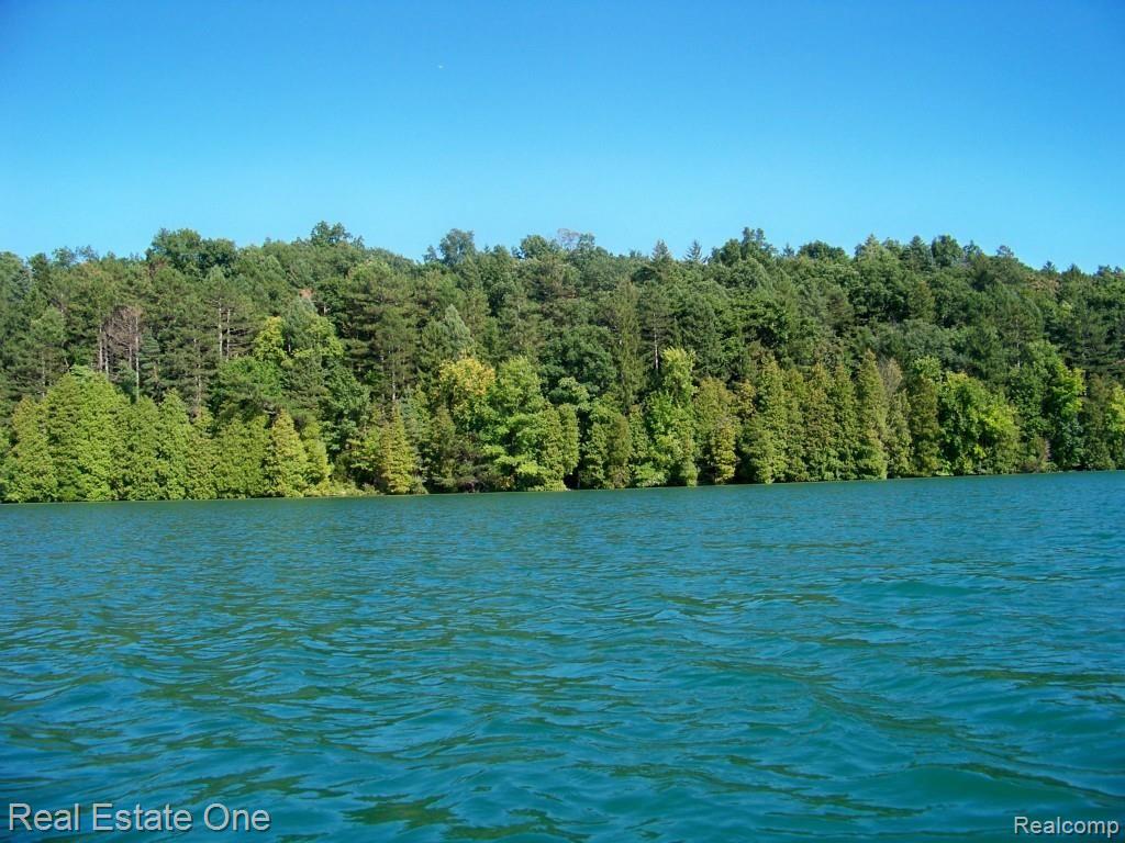 3208 North Tipsico Lake Road Hartland, MI 48353 - Photo 31 of 87 2008-01-01 12.00