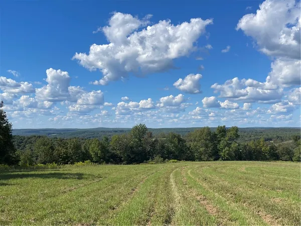 $299,000 | 18.1 Turnpike Road, Meredith, NY 13753