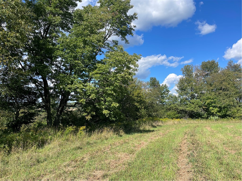 18.1 Turnpike Road Meredith, NY 13753 - Photo 2 of 11