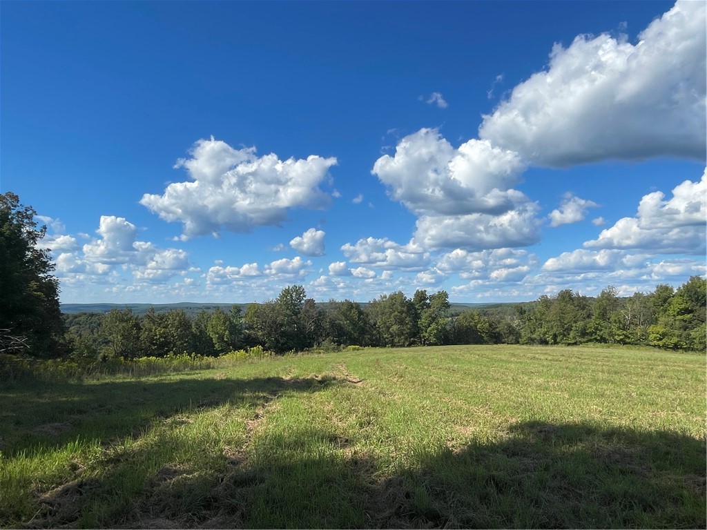 18.1 Turnpike Road Meredith, NY 13753 - Photo 7 of 11