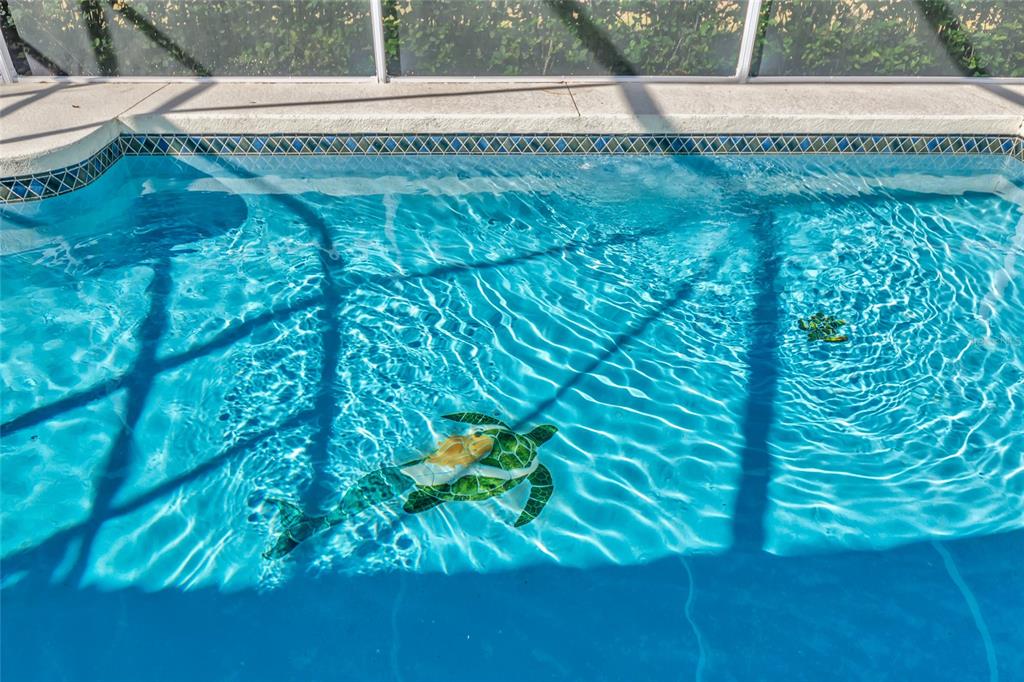 4726 Old Farm Road Sarasota, FL 34233 - Photo 31 of 39