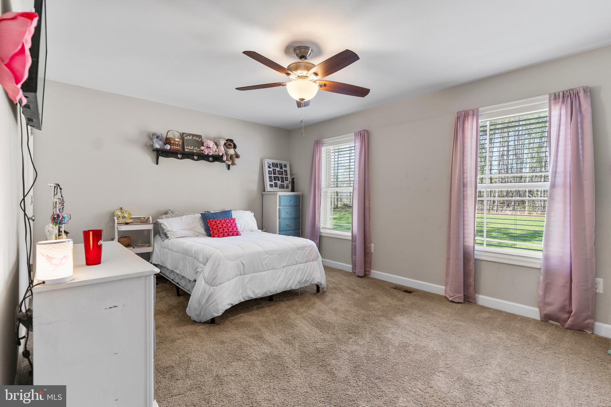9915 Post Oak Road Spotsylvania, VA 22551 - Photo 23 of 35 Bedroom 2 w/Carpet & LARGE Walk in Closet