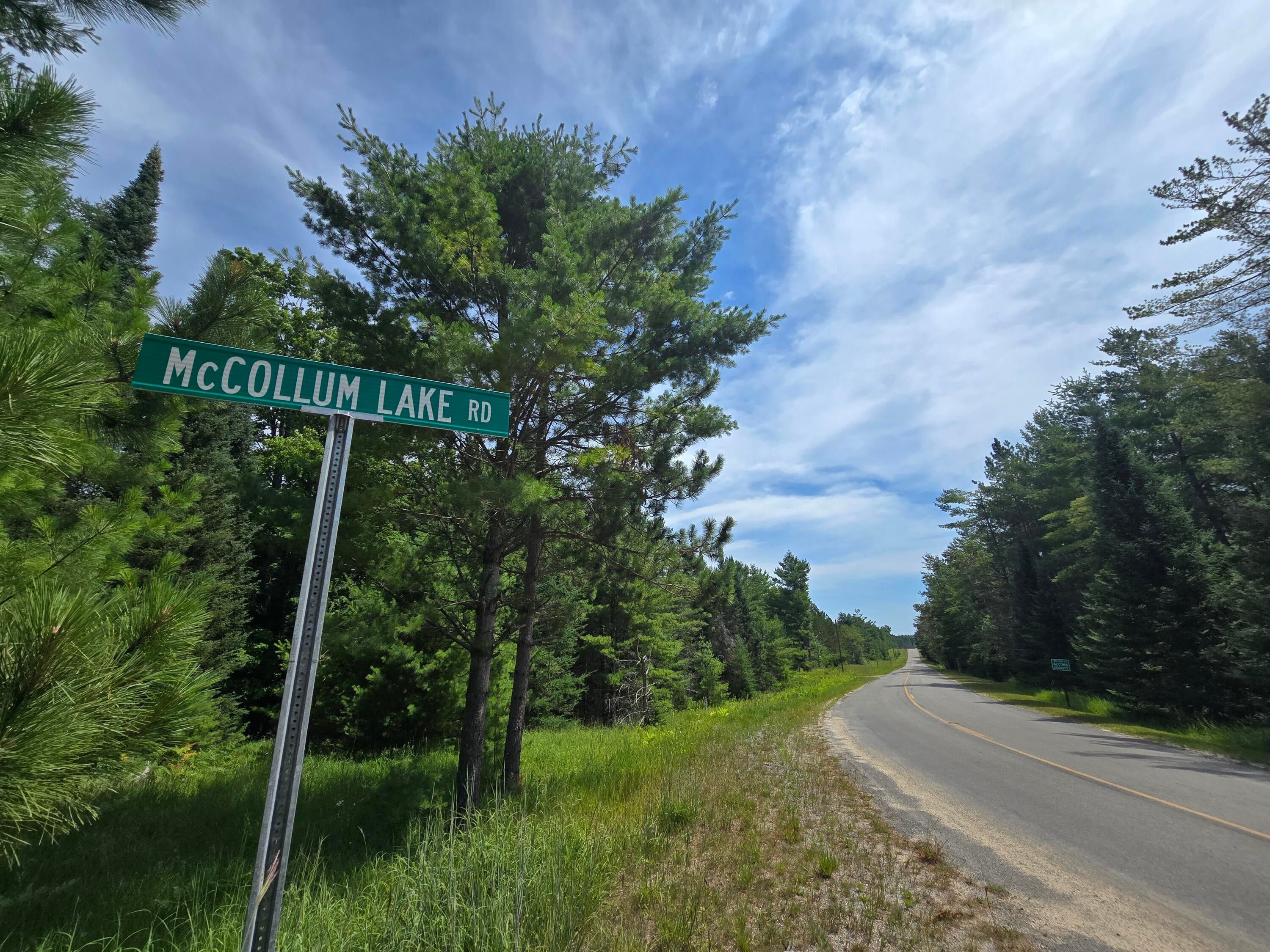 8716 Mc Collum Lake Road Curran, MI 48728 - Photo 108 of 113 20250723_123209