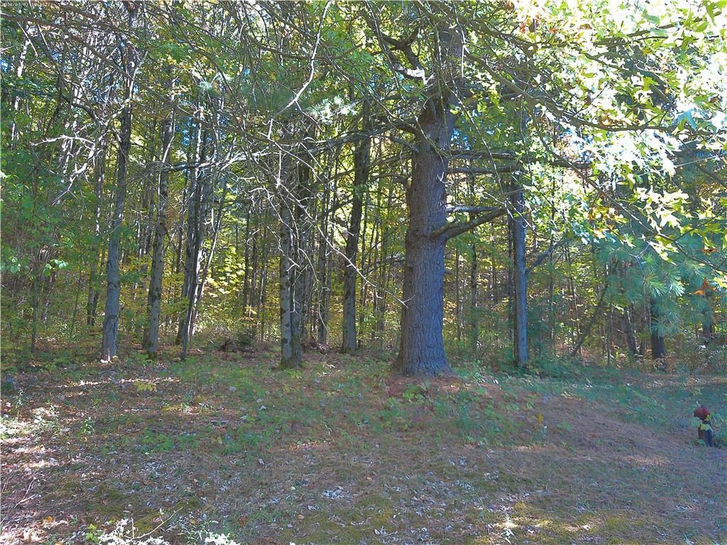 660 N Road Colesville, NY 13904 - Photo 32 of 42