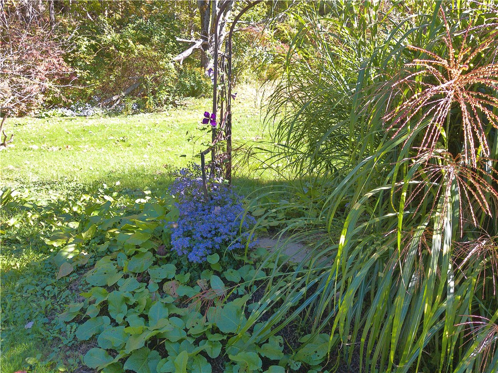 660 N Road Colesville, NY 13904 - Photo 41 of 42