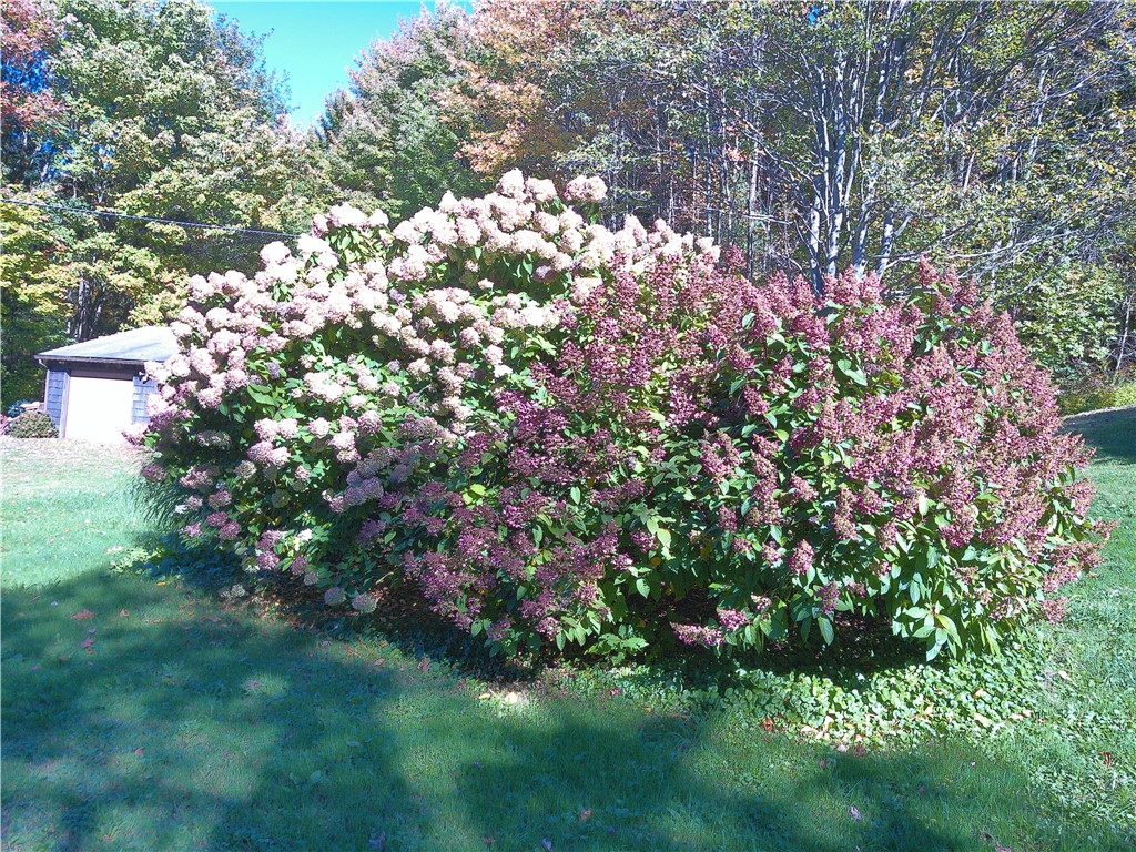 660 N Road Colesville, NY 13904 - Photo 42 of 42