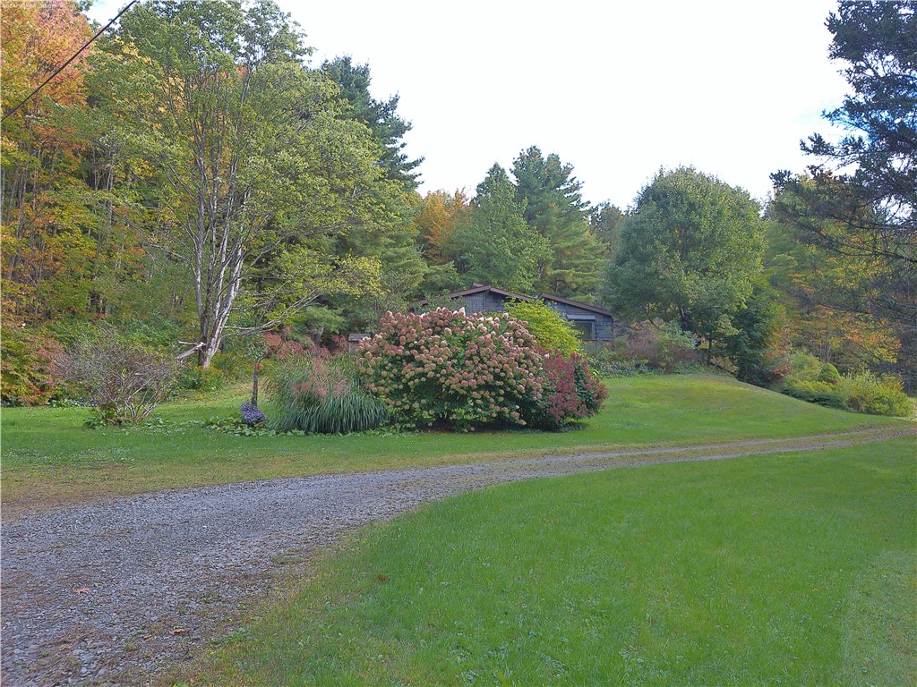 660 N Road Colesville, NY 13904 - Photo 5 of 42