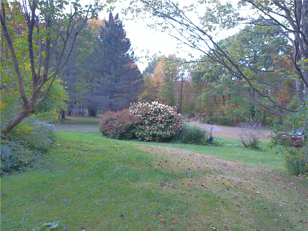 660 N Road Colesville, NY 13904 - Photo 10 of 42