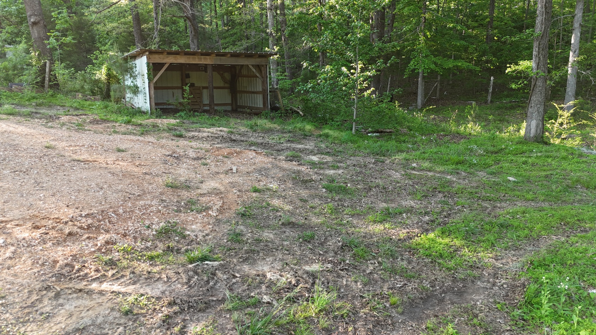 805 Pate Road Huntingdon, TN 38344 - Photo 5 of 10 a backyard of a house with lots of green space