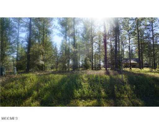 Lot 5 Bennie Wall Road Lucedale, MS 39452 - Photo 3 of 5 20160728001710056808000000-o