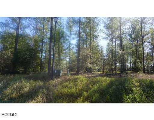 Lot 5 Bennie Wall Road Lucedale, MS 39452 - Photo 5 of 5 20160728001710558121000000-o