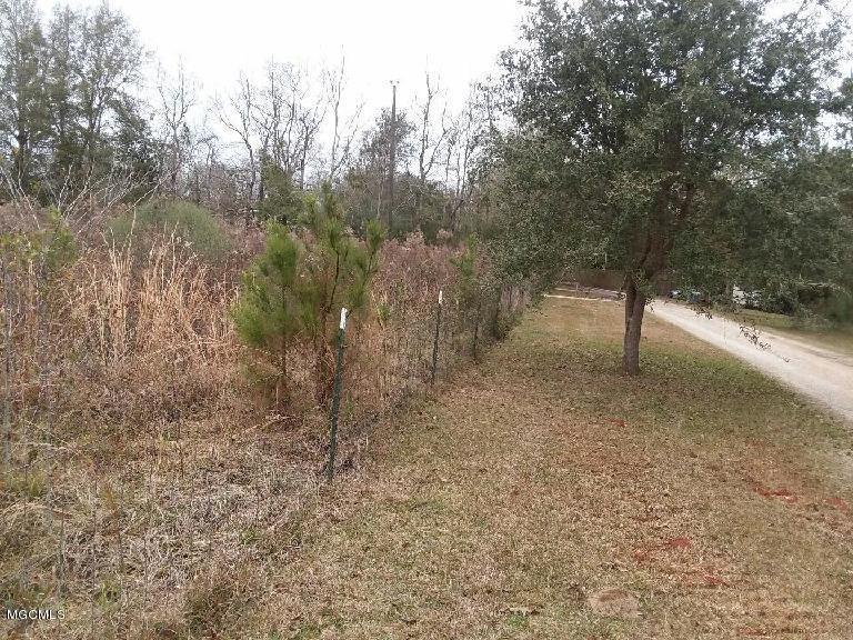 0 Joe R Lee Road Carriere, MS 39426 - Photo 8 of 9 CB5206B6-9E1C-4F02-9890-F7B1454F1EBE