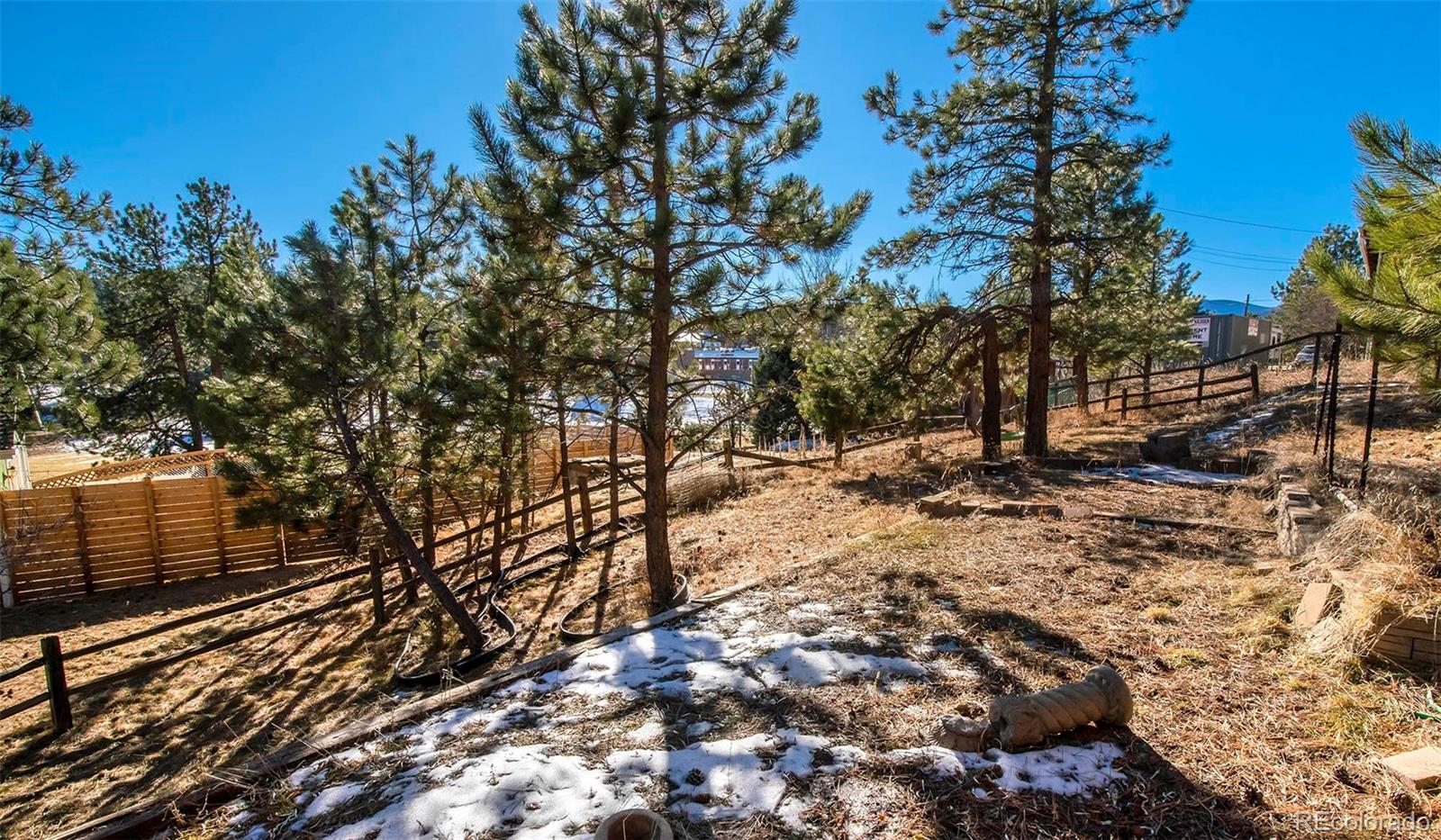 29116 Pine Road Evergreen, CO 80439 - Photo 37 of 38