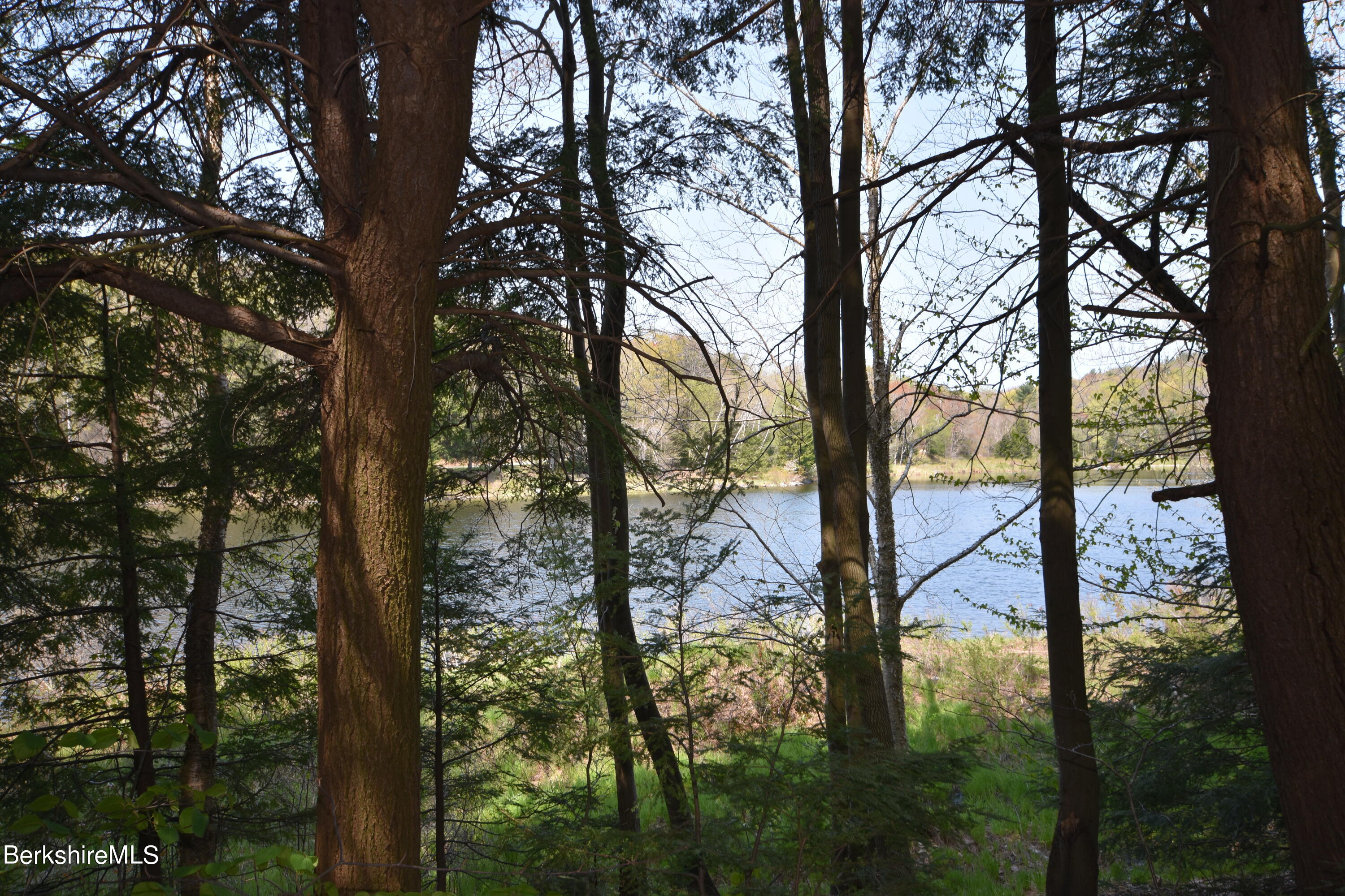 0 Lake View Road Hinsdale, MA 01235 - Photo 1 of 18 a view of forest