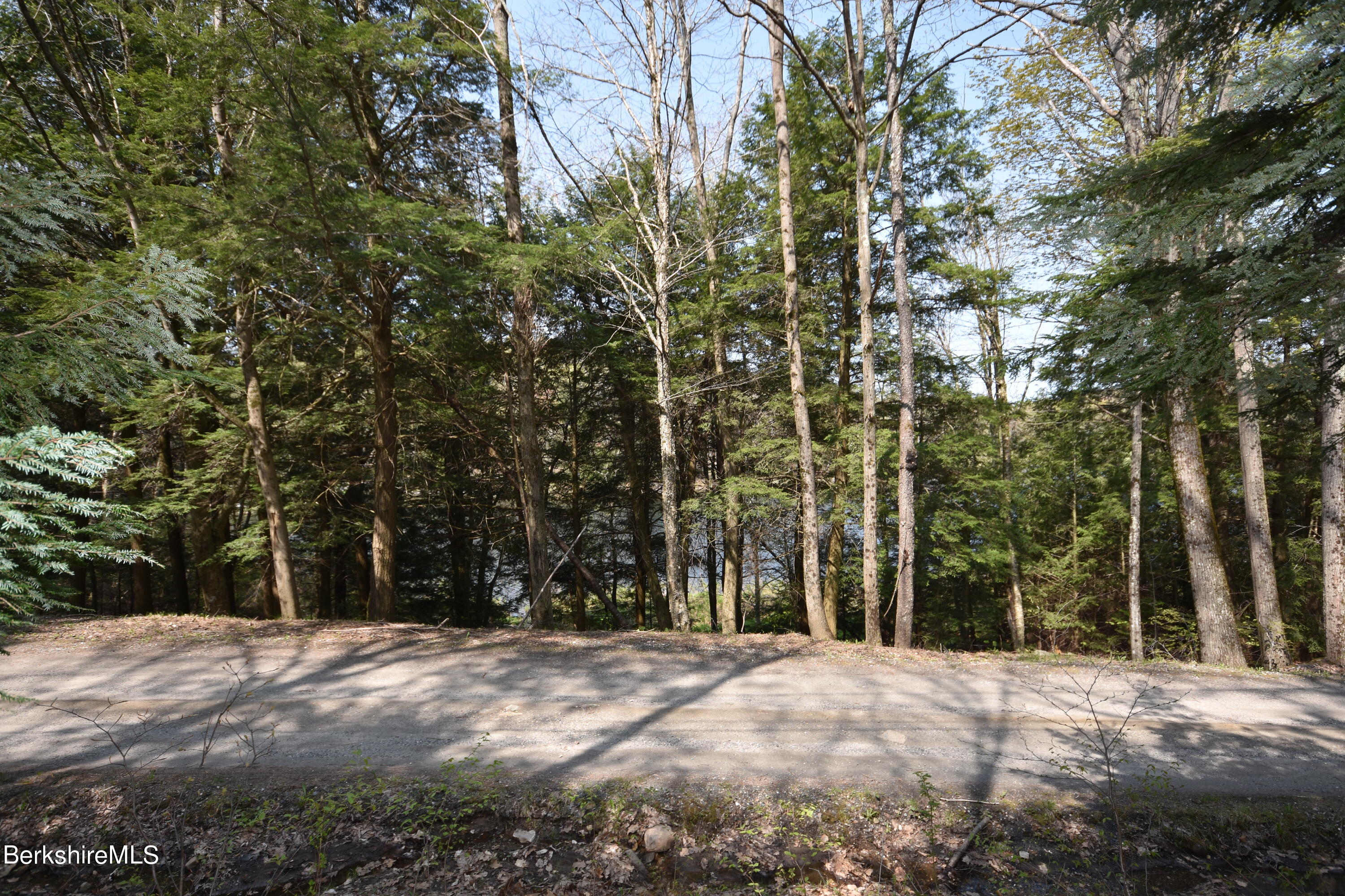 0 Lake View Road Hinsdale, MA 01235 - Photo 11 of 18 a view of outdoor space and yard