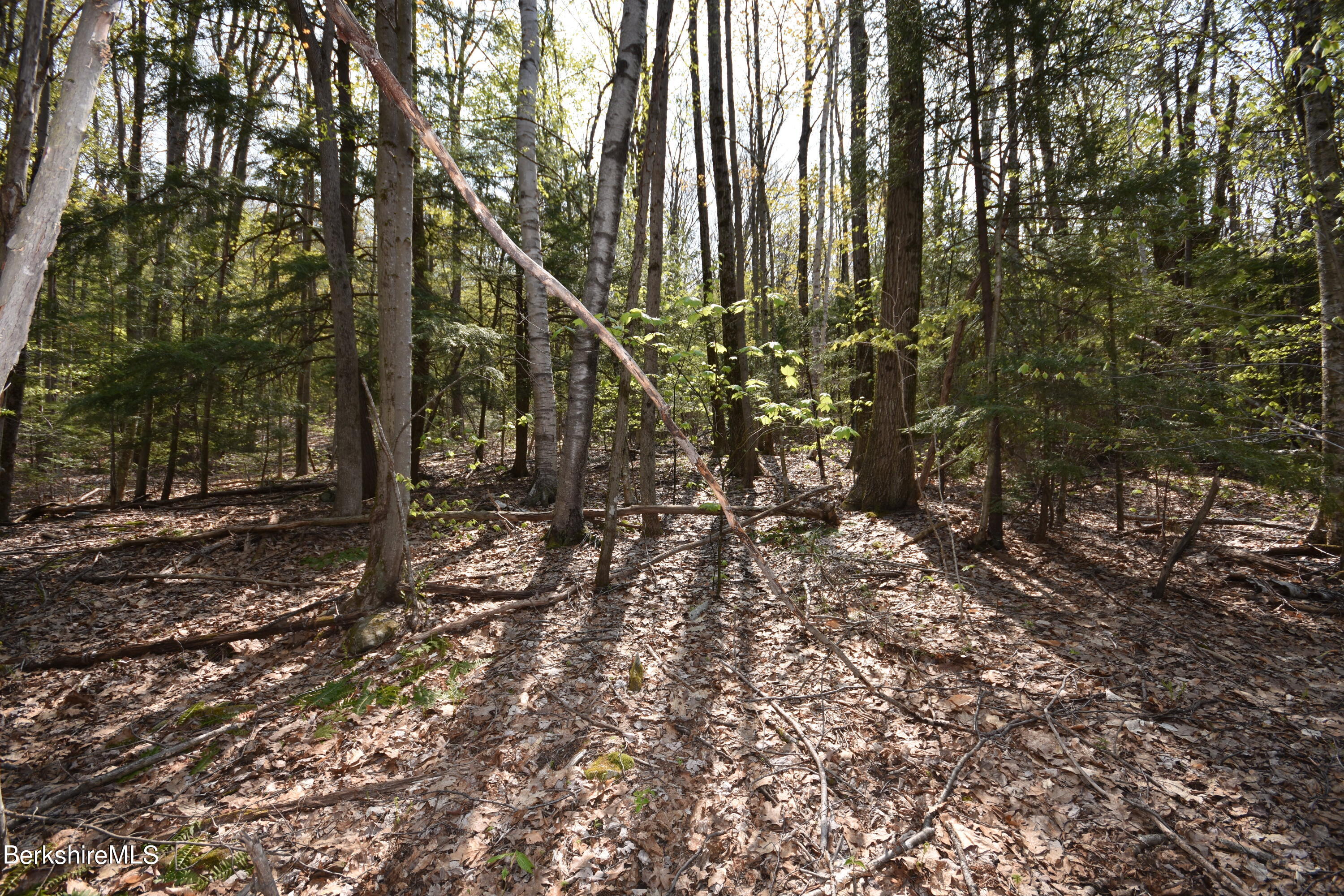 0 Lake View Road Hinsdale, MA 01235 - Photo 13 of 18 a view of forest