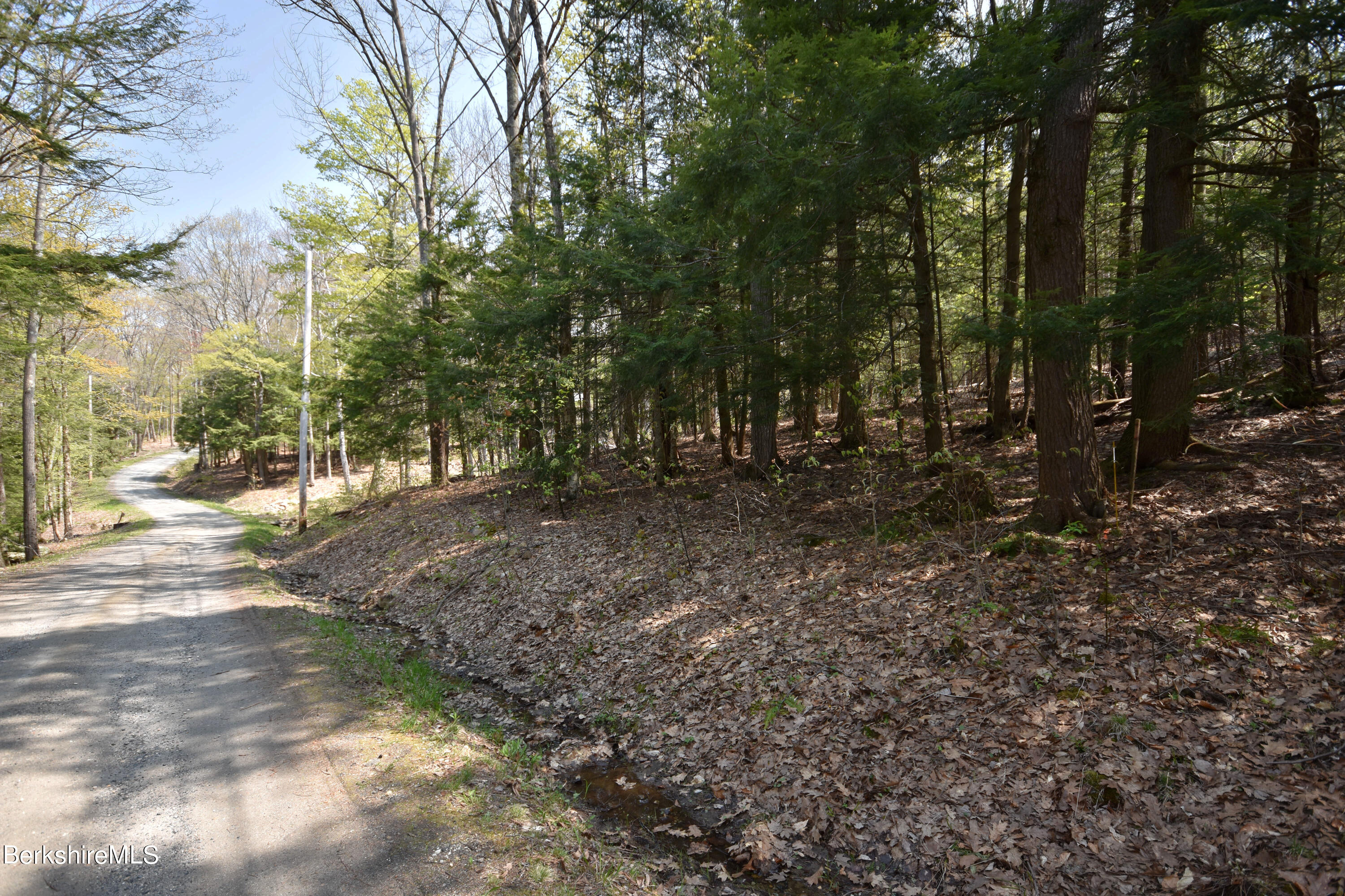 0 Lake View Road Hinsdale, MA 01235 - Photo 18 of 18 a view of a forest with trees
