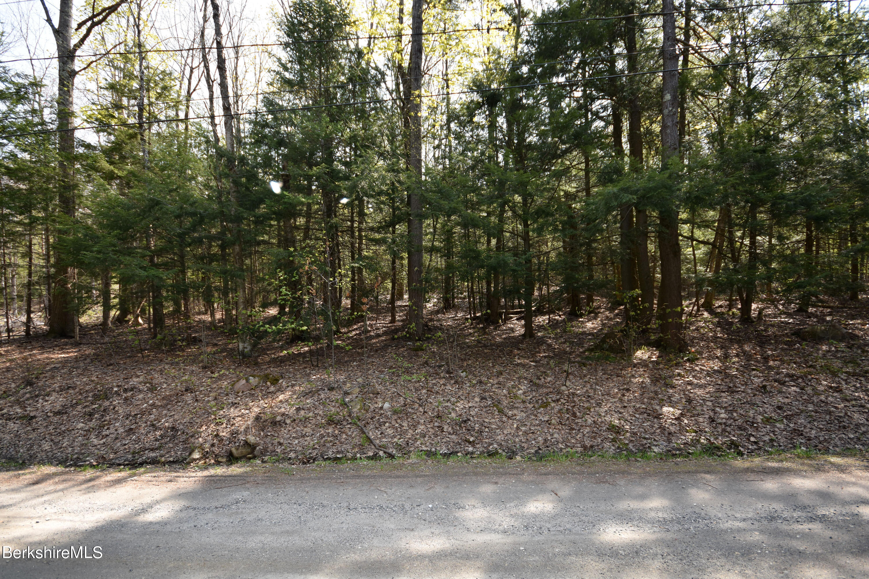 0 Lake View Road Hinsdale, MA 01235 - Photo 3 of 18 a view of a yard with plants and trees