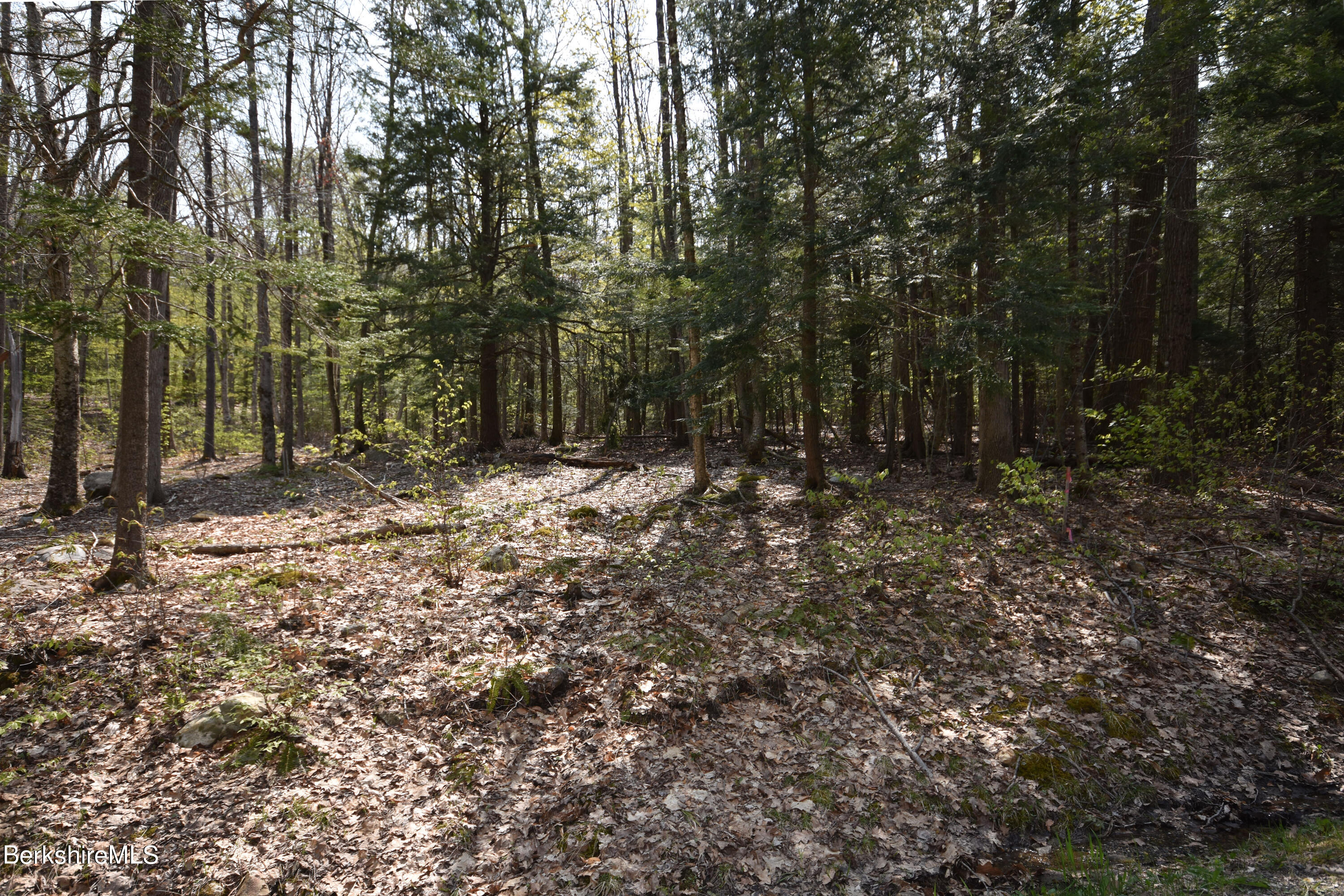 0 Lake View Road Hinsdale, MA 01235 - Photo 4 of 18 a view of a forest with trees