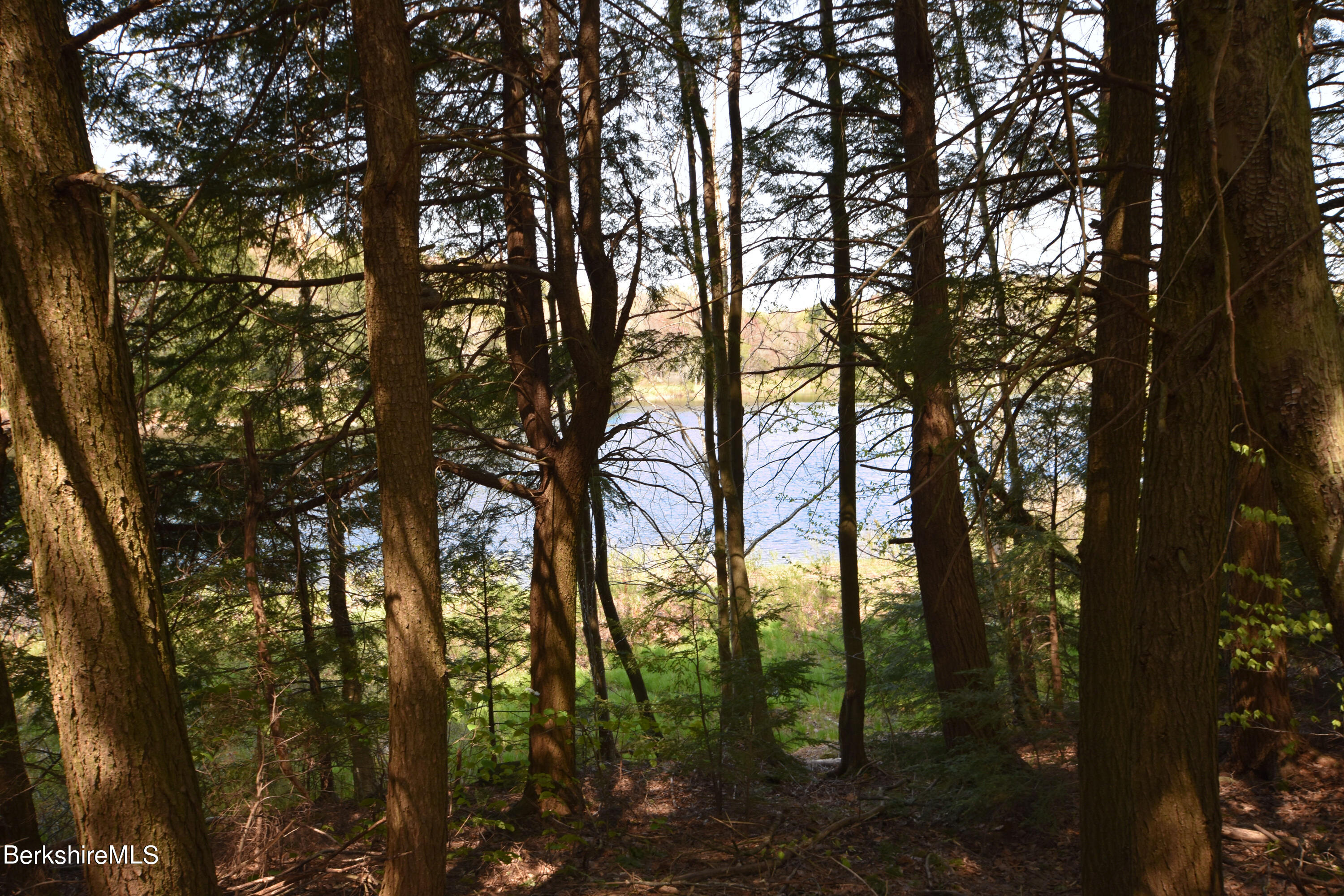 0 Lake View Road Hinsdale, MA 01235 - Photo 7 of 18 a view of trees and covered with tall trees