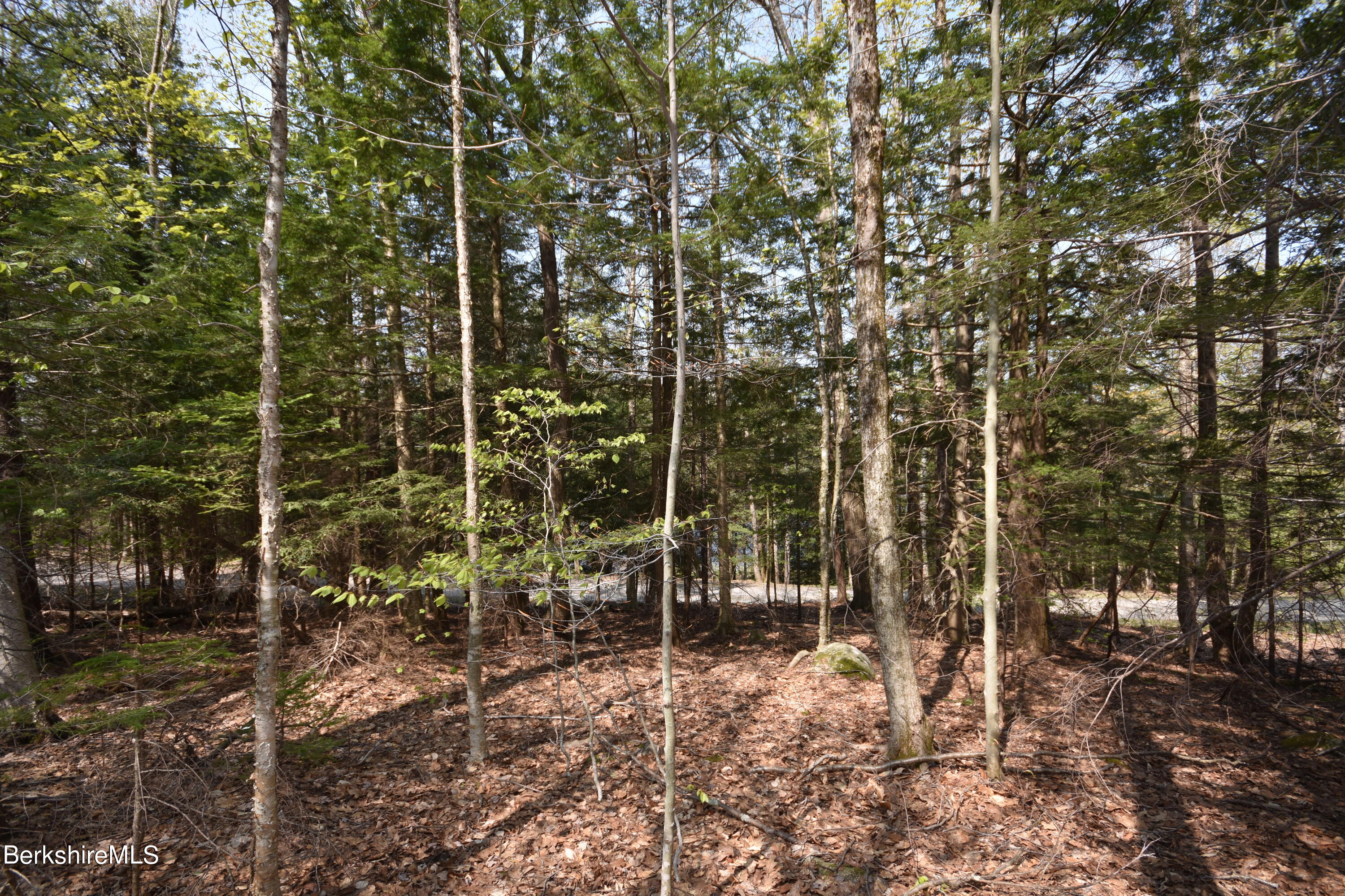 0 Lake View Road Hinsdale, MA 01235 - Photo 10 of 18 a view of an outdoor space with lots of trees