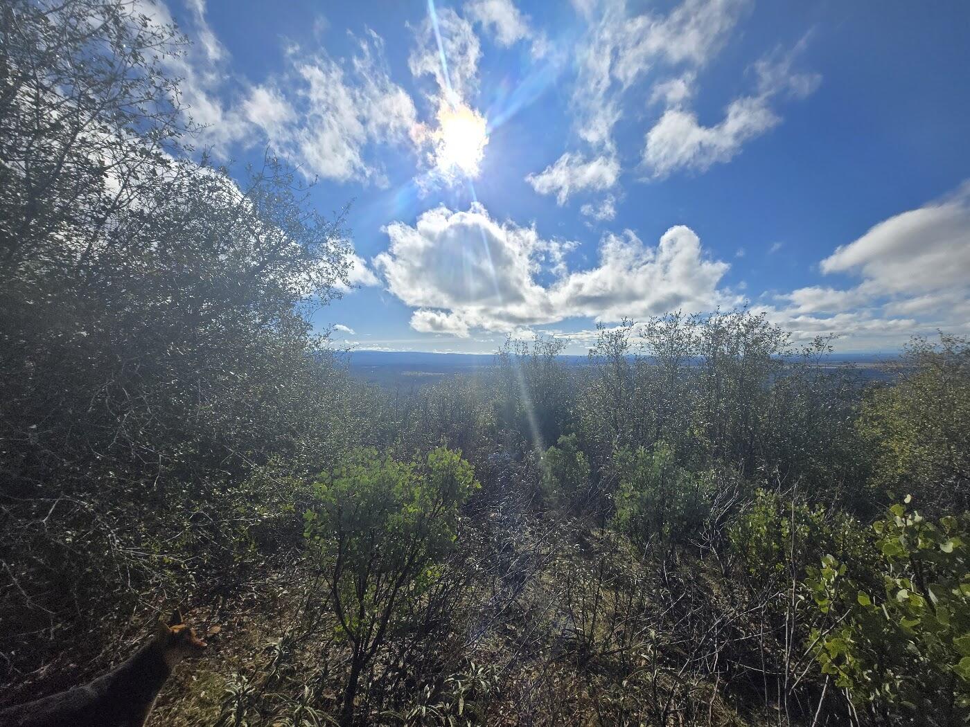 0 Backbone Ridge Road Bella Vista, CA 96008 - Photo 20 of 20 view 5