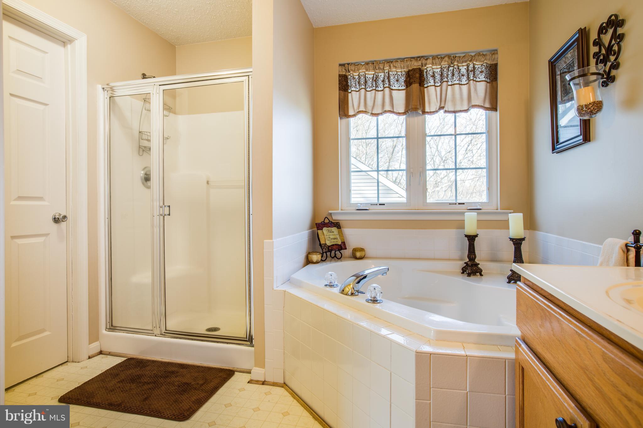 13524 Granview Road King George, VA 22485 - Photo 17 of 30 Soaking Tub and Separate Shower in Master Bathroom