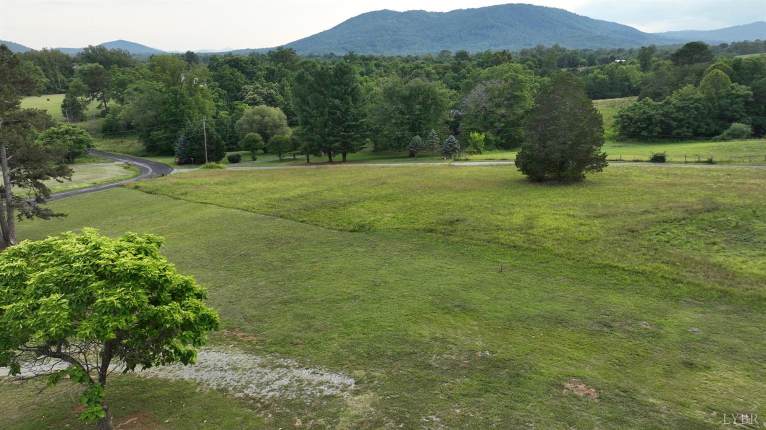 2225 Irving Road Thaxton, VA 24174 - Photo 16 of 45