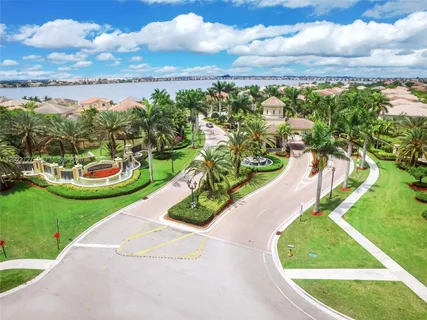 a view of a yard with palm trees