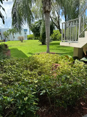 a view of a house with a big yard and palm trees