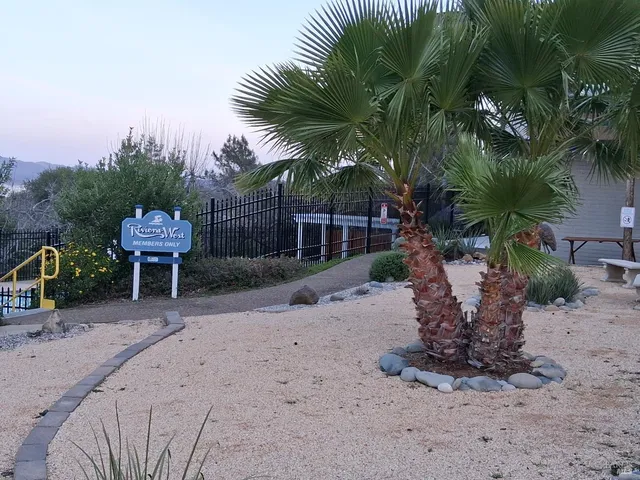 a view of a backyard with plants