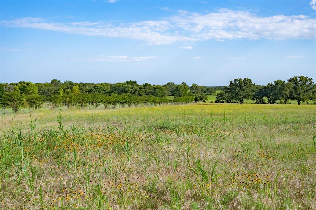 923 Natty Flat Road Lipan, TX 76462 - Photo 37 of 40