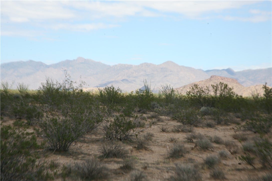 243-15-016 South Custer Road, Unit 3491 Yucca, AZ 86438 - Photo 55 of 61 Gallery Image 55