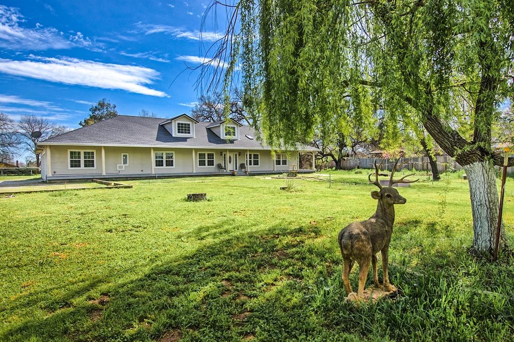 Front yard