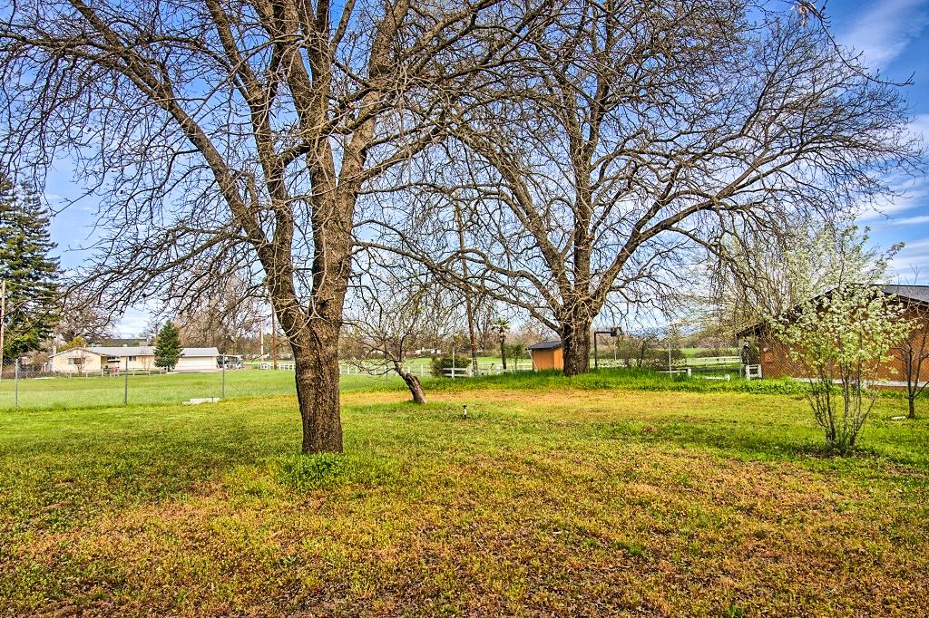 3265 Rupert Road Anderson, CA 96007 - Photo 64 of 72 Acerage