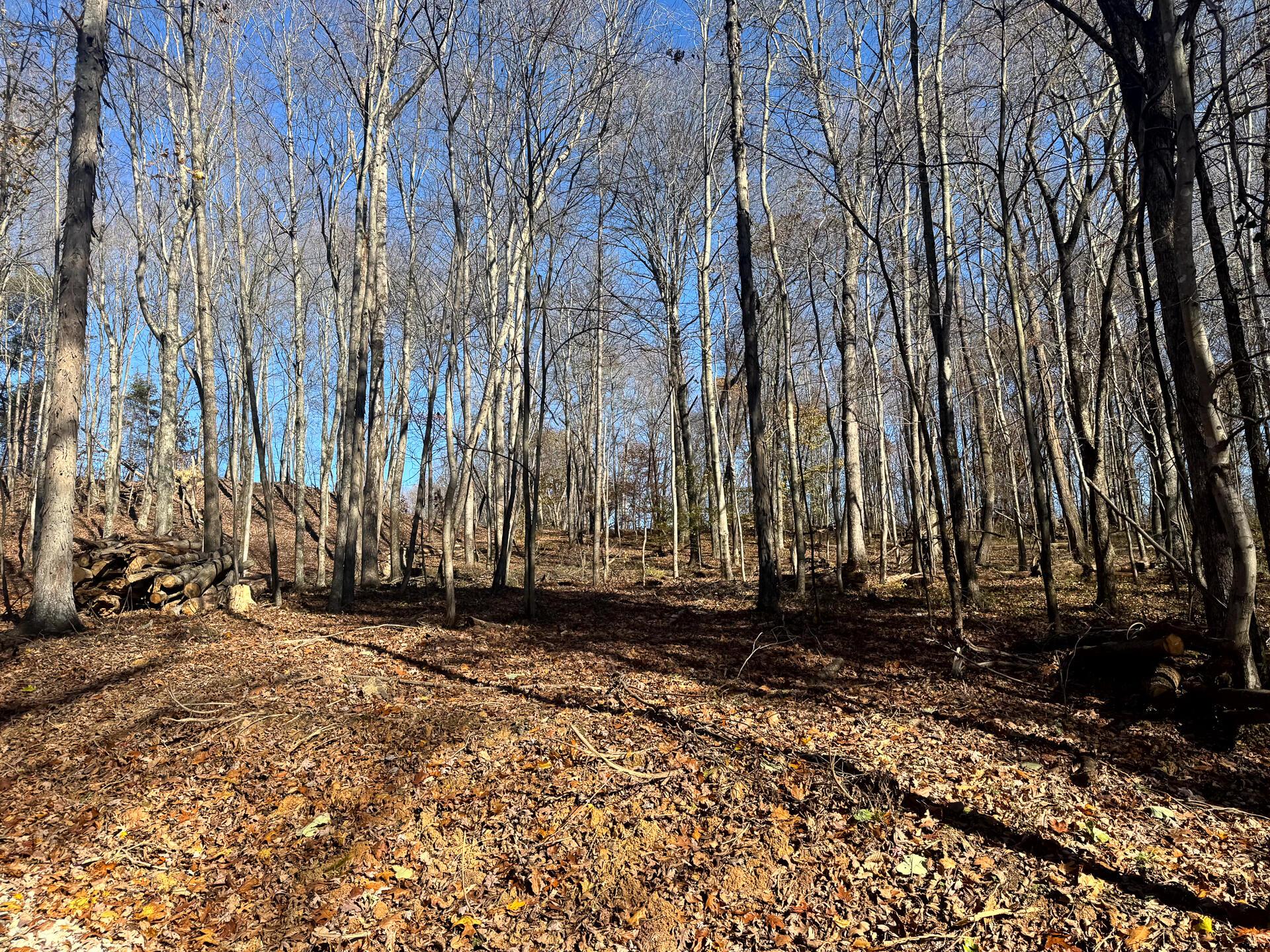680 Nibert Road, Unit PONDS POPLAR RIDGE TRACT 10) Gallipolis, OH 45631 - Photo 14 of 46 CT-14